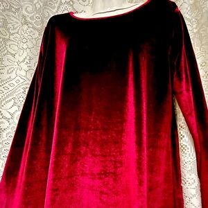Holiday Velvet Tunic